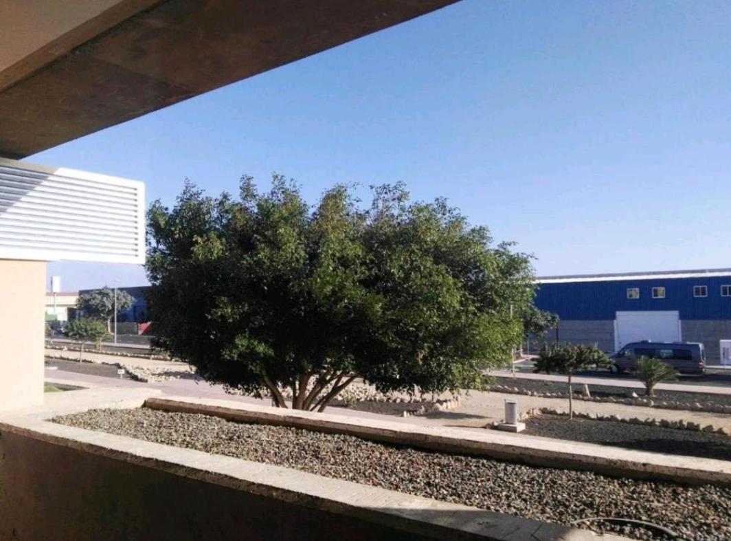 Aparthotel Strelitzia Park San Miguel de Abona Zewnętrze zdjęcie