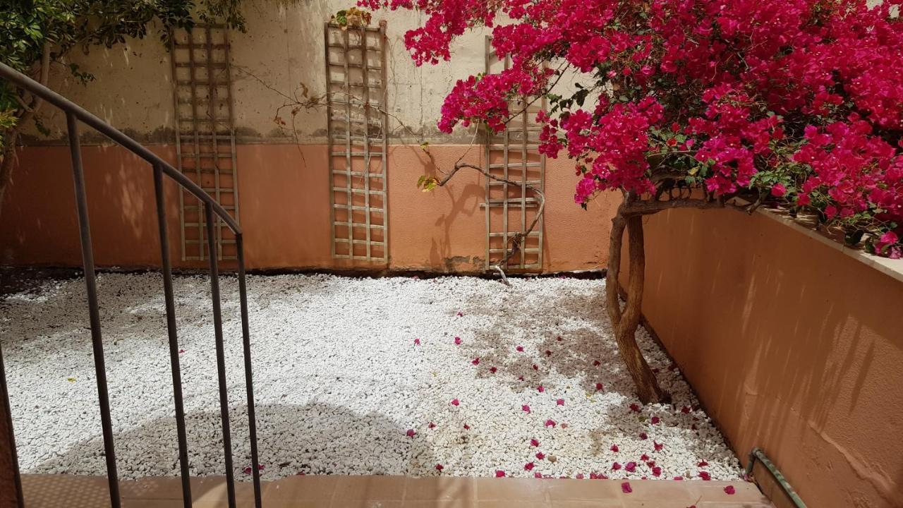 Aparthotel Strelitzia Park San Miguel de Abona Zewnętrze zdjęcie
