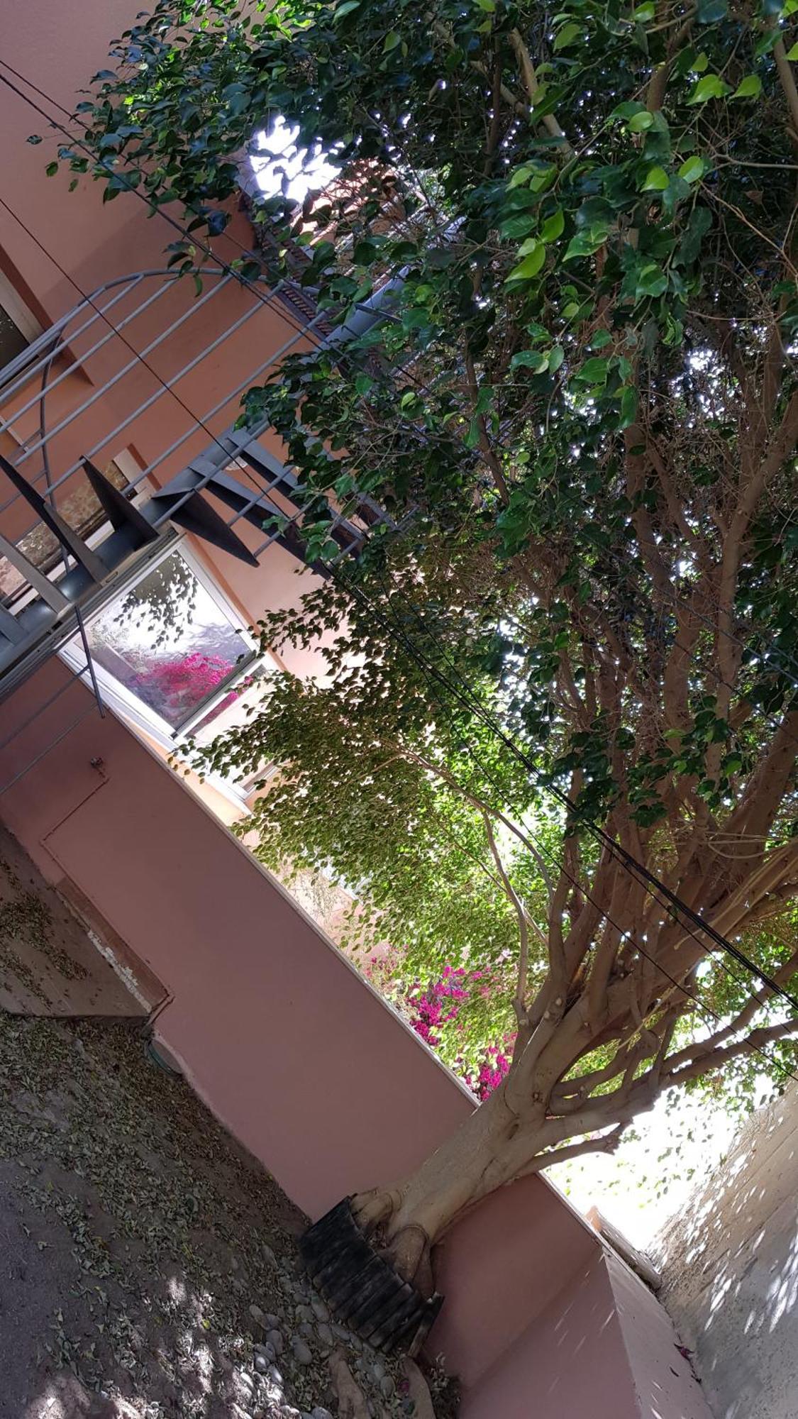 Aparthotel Strelitzia Park San Miguel de Abona Pokój zdjęcie